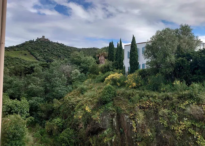 4pa32 Dans Avec Piscine Et Parking Διαμέρισμα Κολιούρ